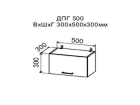 Шкаф верхний ДПГ500 горизонтальный в Магнитогорске - magnitogorsk.магазин96.com | фото