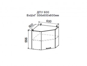 Шкаф верхний ДПУ600 угловой в Магнитогорске - magnitogorsk.магазин96.com | фото